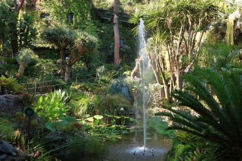 Garden Of Life Stock Photos and Pictures .